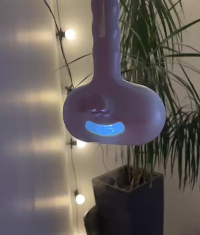 Charger la vidéo : 